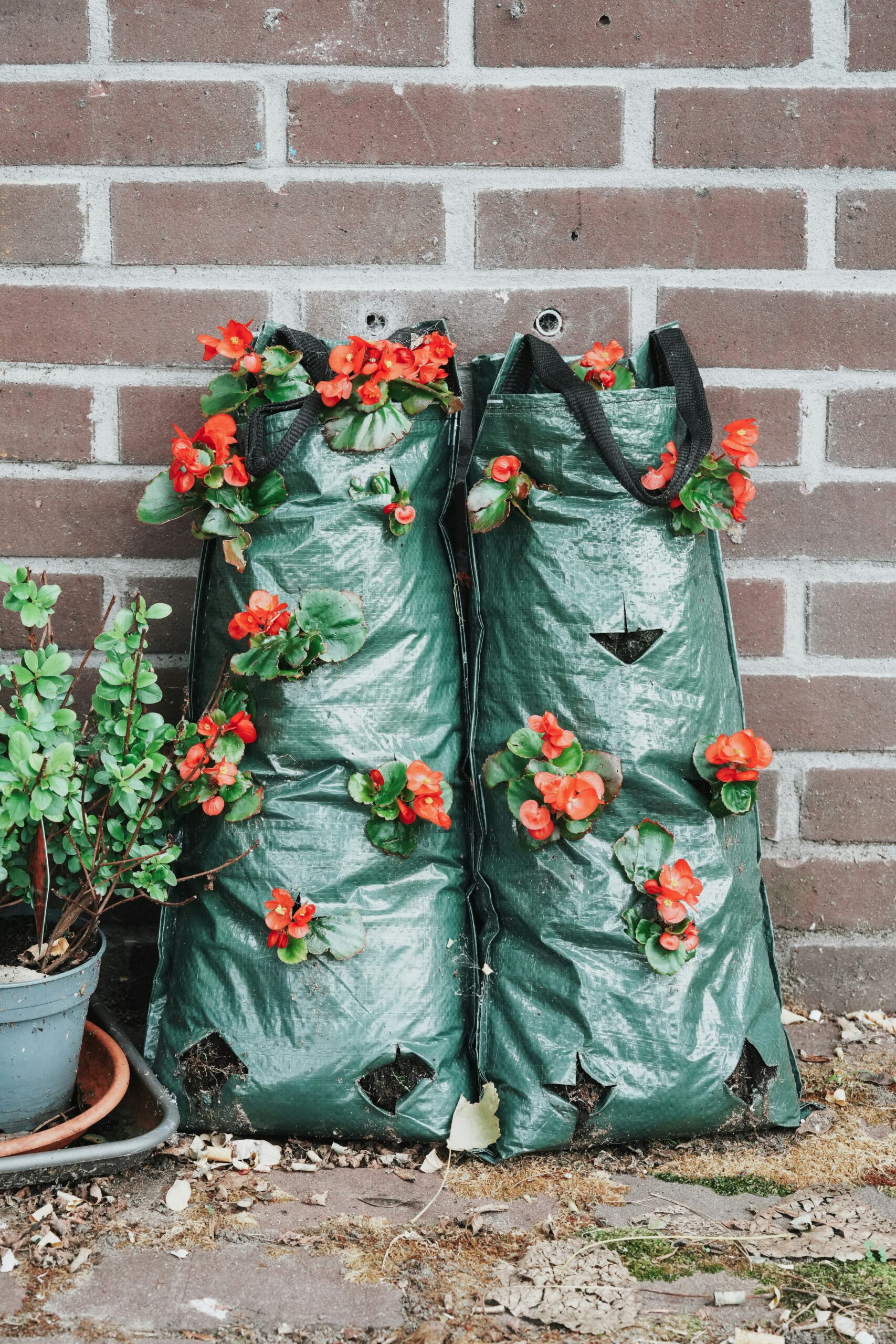 garden bag